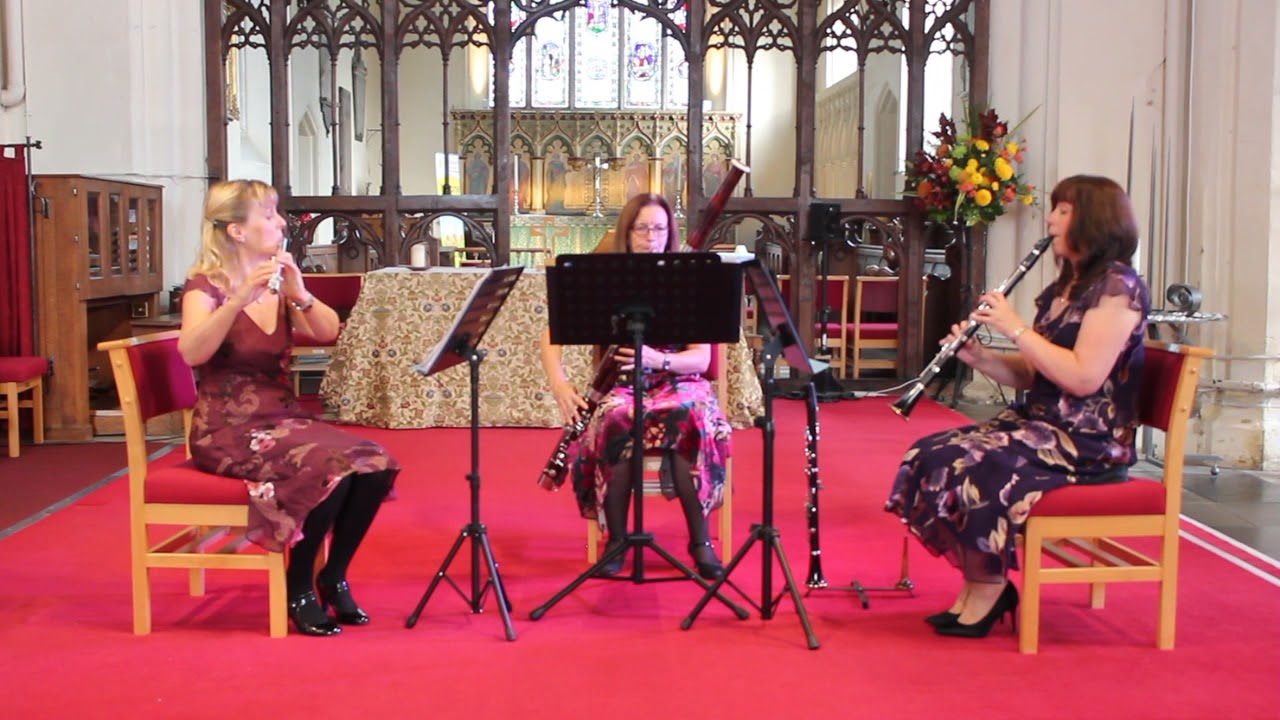 Stand by Me performed by Serendipity Woodwind Trio