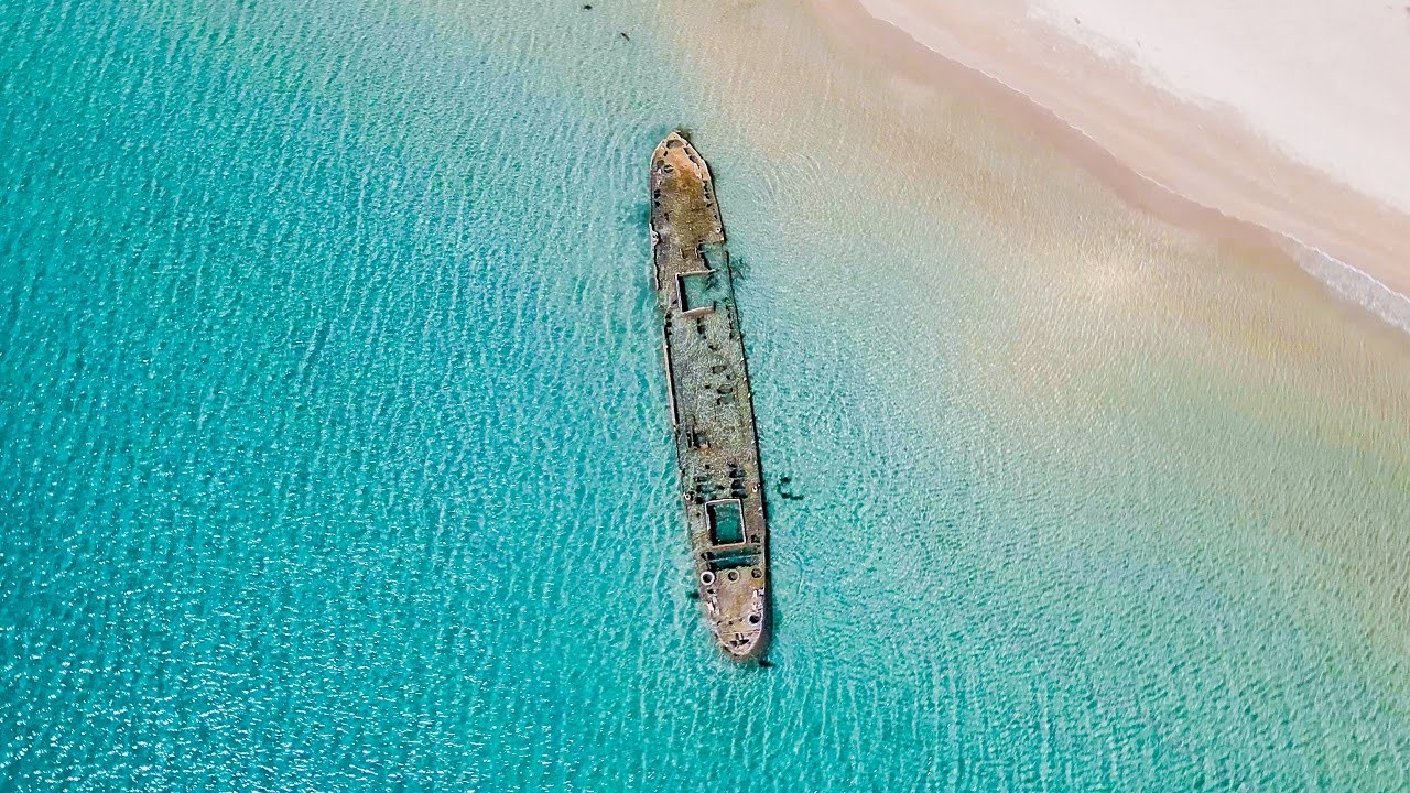 EPIC Spearfishing TRIP Down South