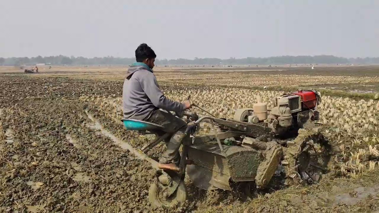 Power Tiller Plowing ধান চাষের জন্য কাদা মাটি তৈরি করার ভিডিও