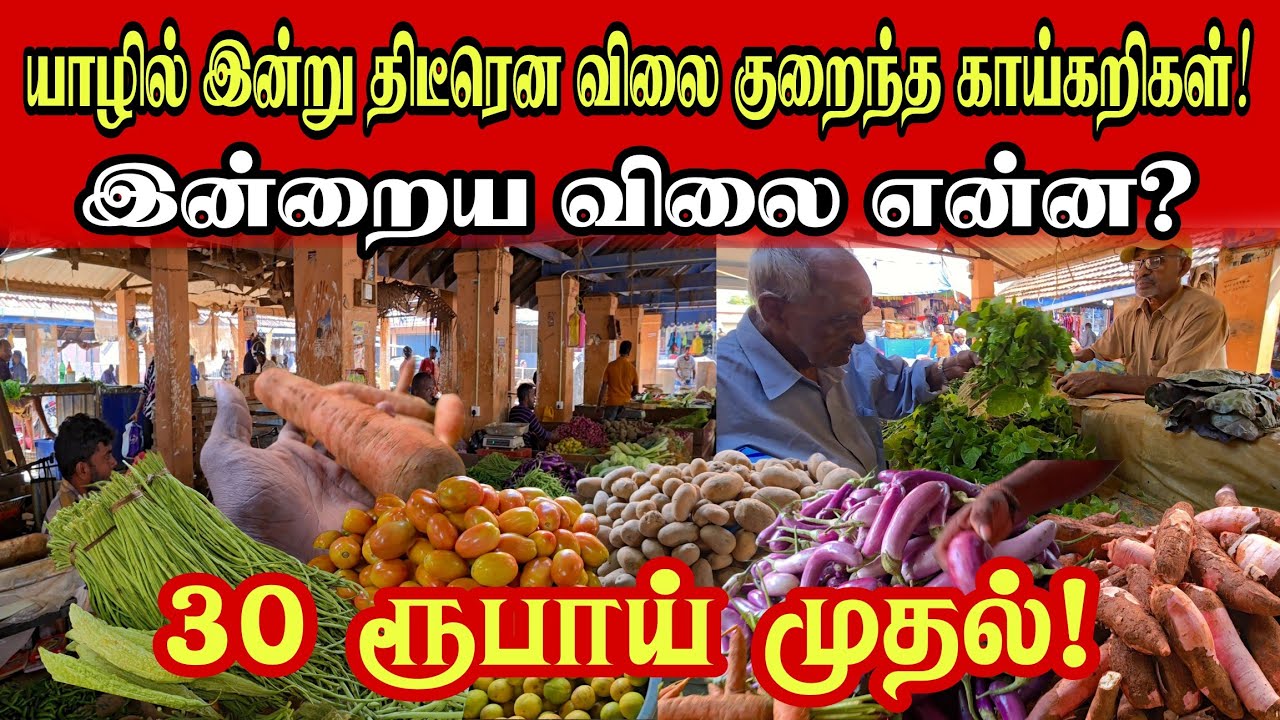 🔴யாழில் இன்று திடீரென அதிரடியாக விலை குறைந்த காய்கறிகள்! இன்றைய விலை என்ன? 30 ரூபாயில் இருந்தா?