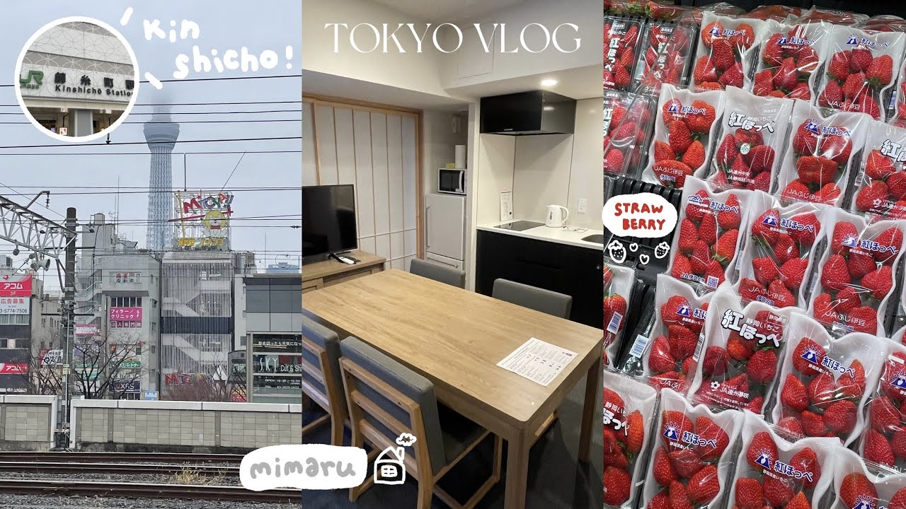 [VLOG] 開箱東京錦糸町公寓式酒店MIMARU🏠、全東京最大DAISO🛍️、百元商店戰利品分享🤎｜TOKYO VLOG｜Japan｜Tokyo｜Kinshicho｜Travel