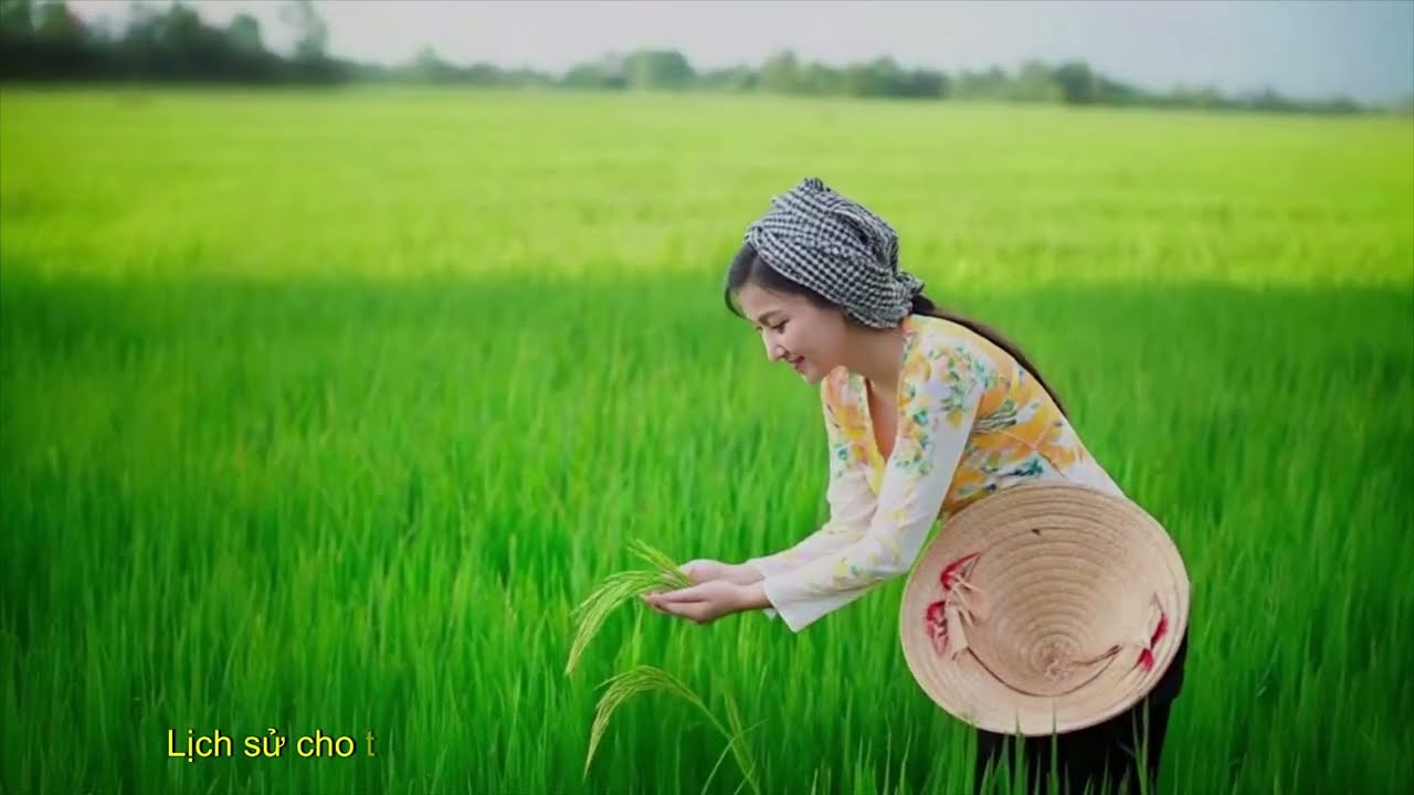 HẠT VÀNG VIỆT NAM