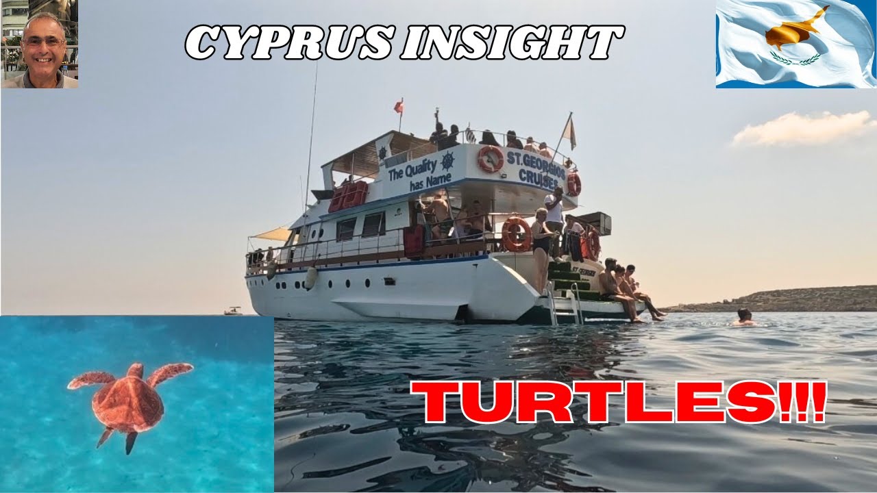 Turtles Spotted on St Georgios Relax Cruise Protaras Cyprus.