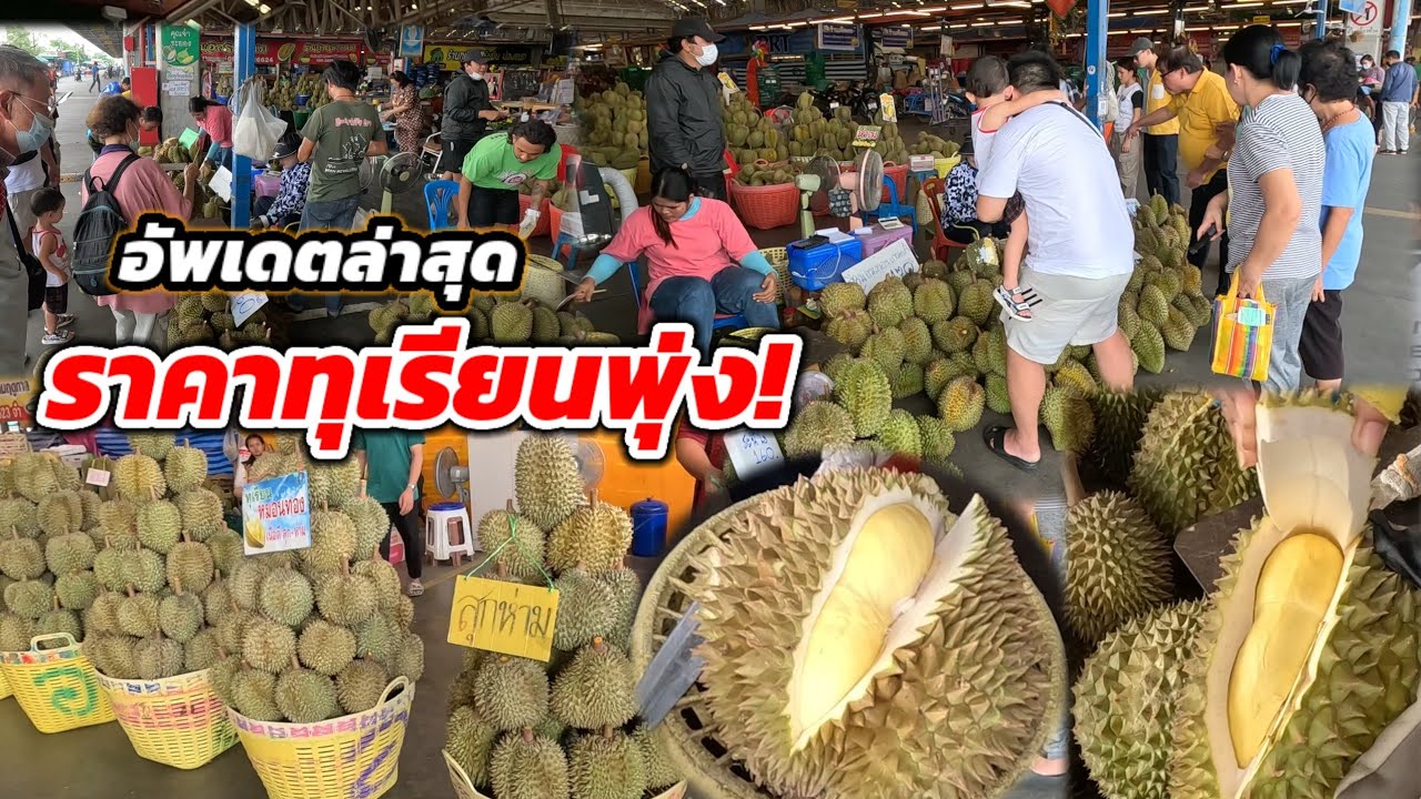 ราคาทุเรียนพุ่งไม่หยุด‼️หมดไวกว่าทุกปี อัพเดตล่าสุด ตลาดไท