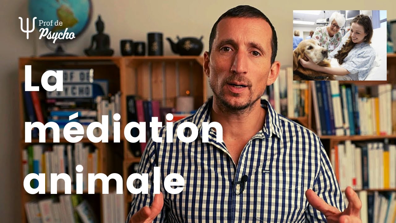 ANIMAUX | Quand l'animal devient médiateur