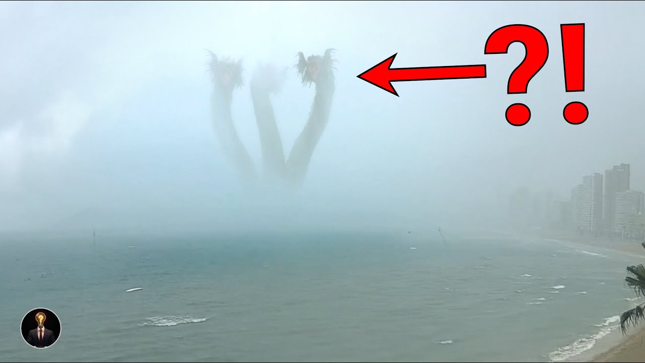 Top 5 Mysterious Sea Serpent Hydra Sightings, April, 2025 | HollywoodScotty VFX
