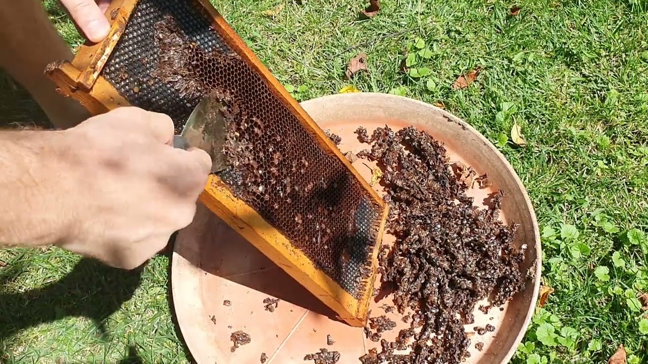 Necazul te invata! Imbunatatire la metoda de vara pentru reformat faguri plastic.