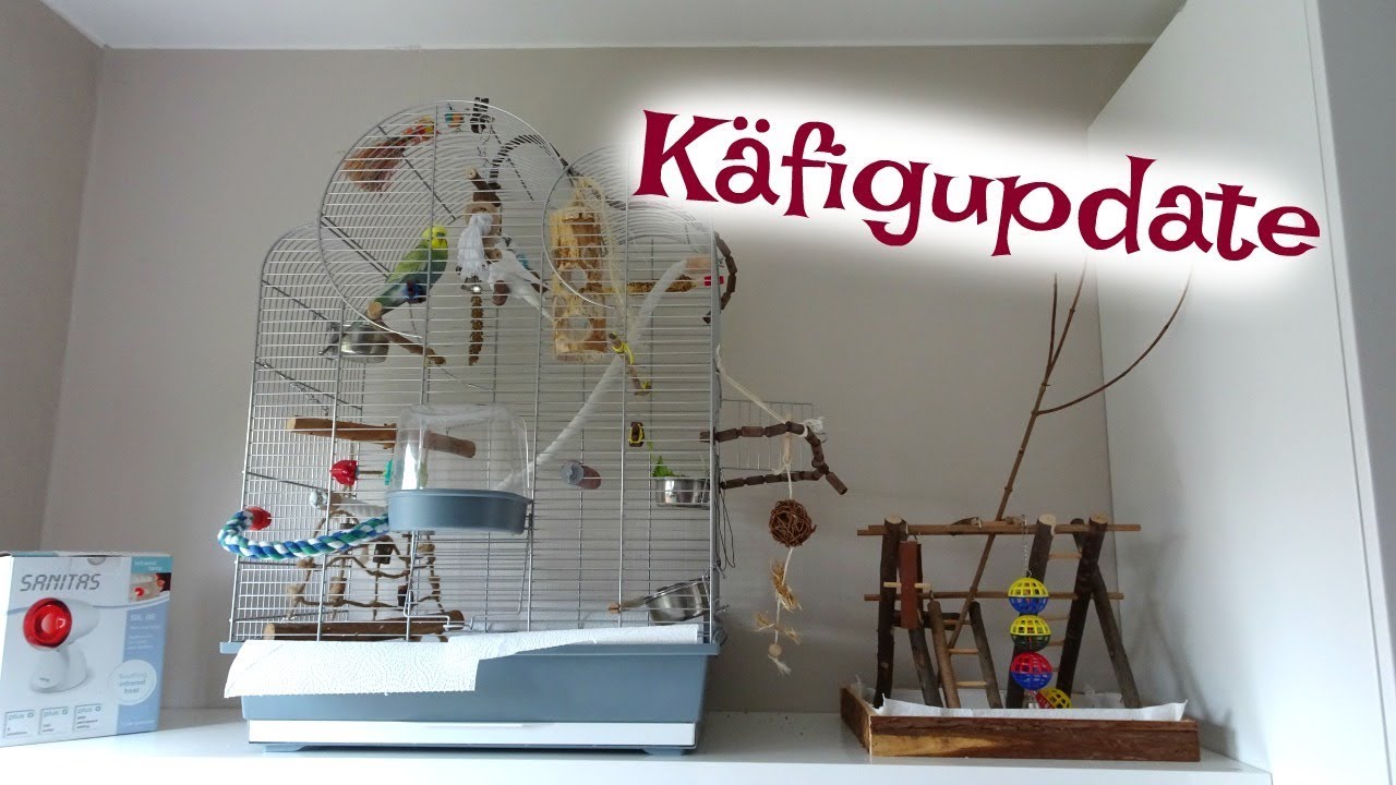 WELLI KÄFIGUPDATE AUGUST 2017