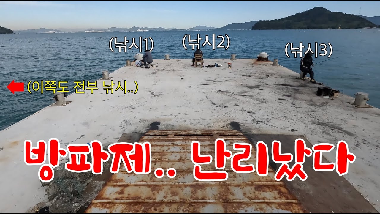 어마어마한 자연산 대왕 오징어가 이 동네 방파제에 버글버글합니다.. 엄청나네요