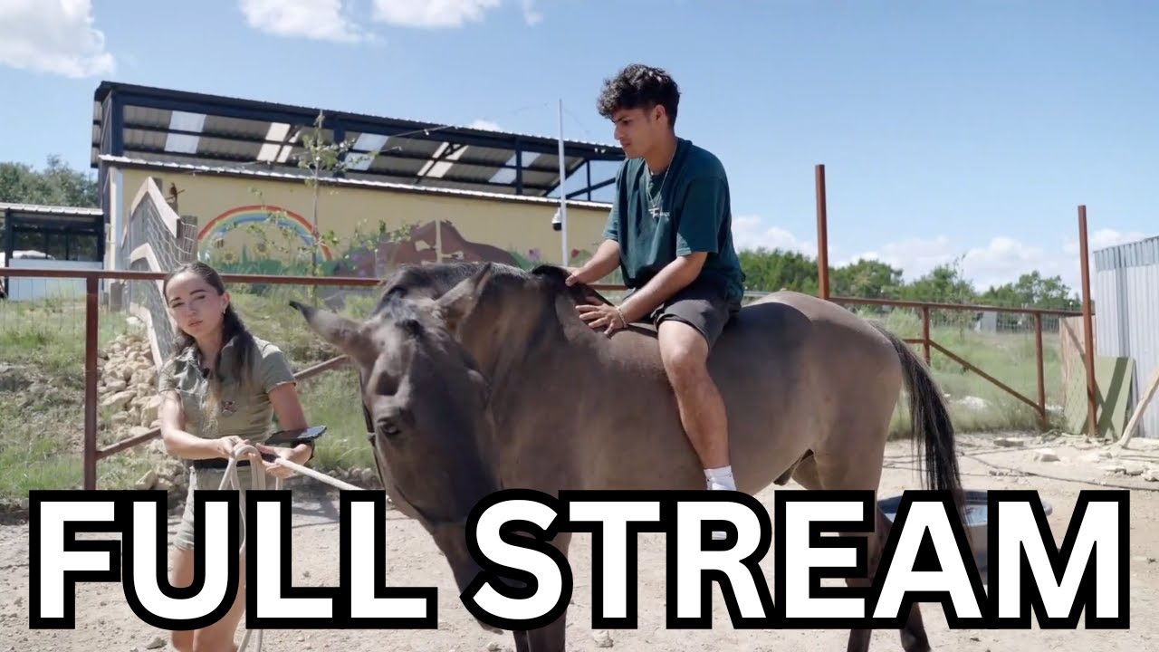28 AUG - Stable Ronaldo Visits Alveus Sanctuary FULL Stream!