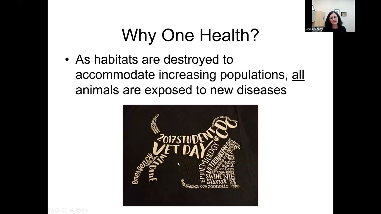 Public Health, One Health, and Veterinary Medicine - How Do These Fit Together?