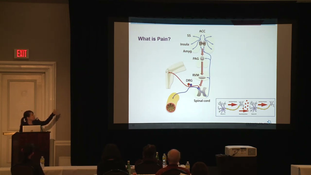 Managing Pain & Fatigue in IBD