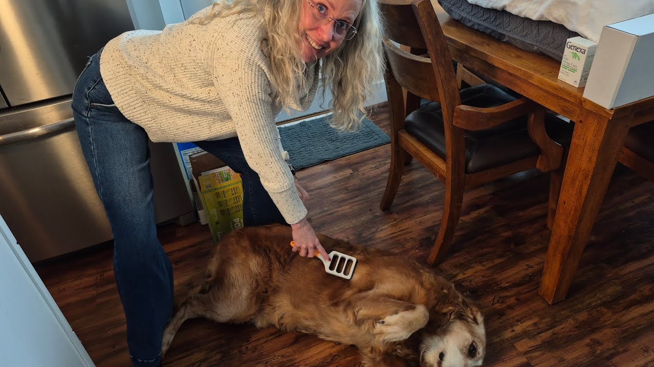 Pet brush for long hair dogs!