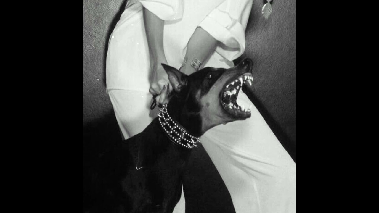 [FREE] SURF PUNK X ALTERNATIVE ROCK TYPE BEAT 