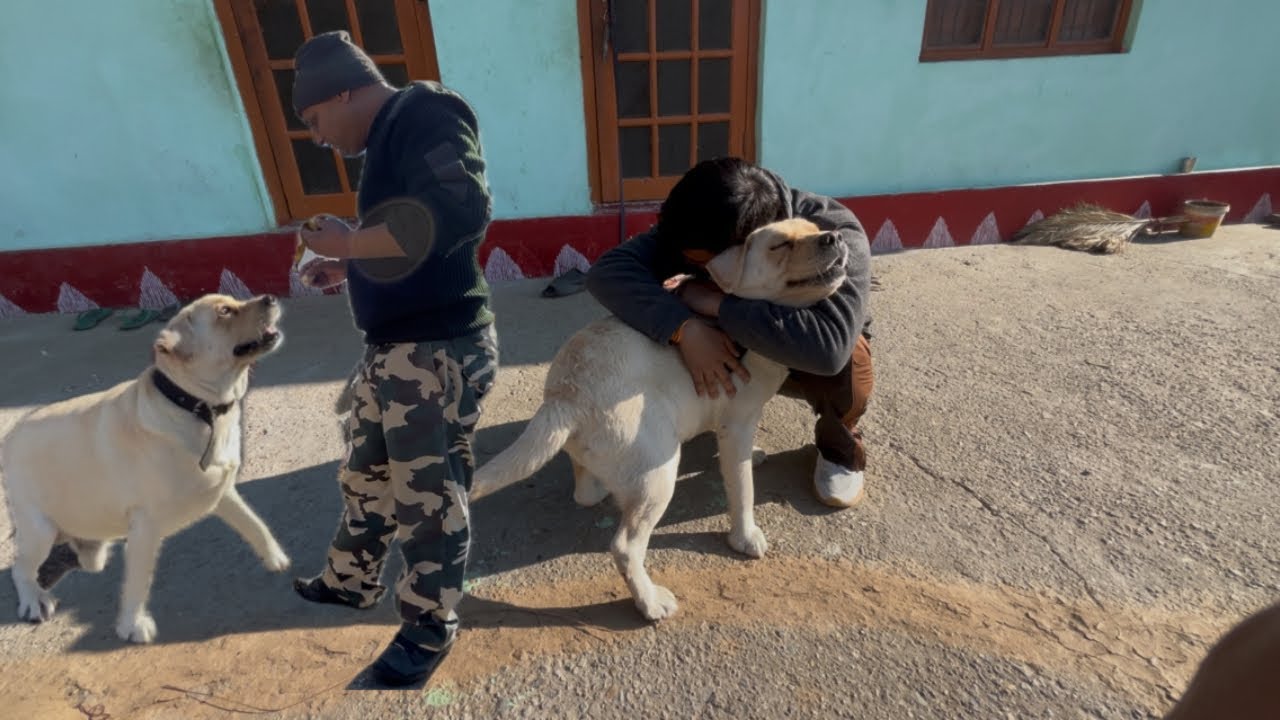Finally Simba se Mulakat😍