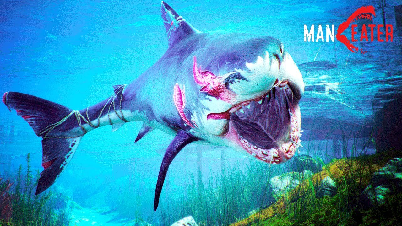 TUBARÃO NO MAR MAIS SUJO DO MANEATER (#03)