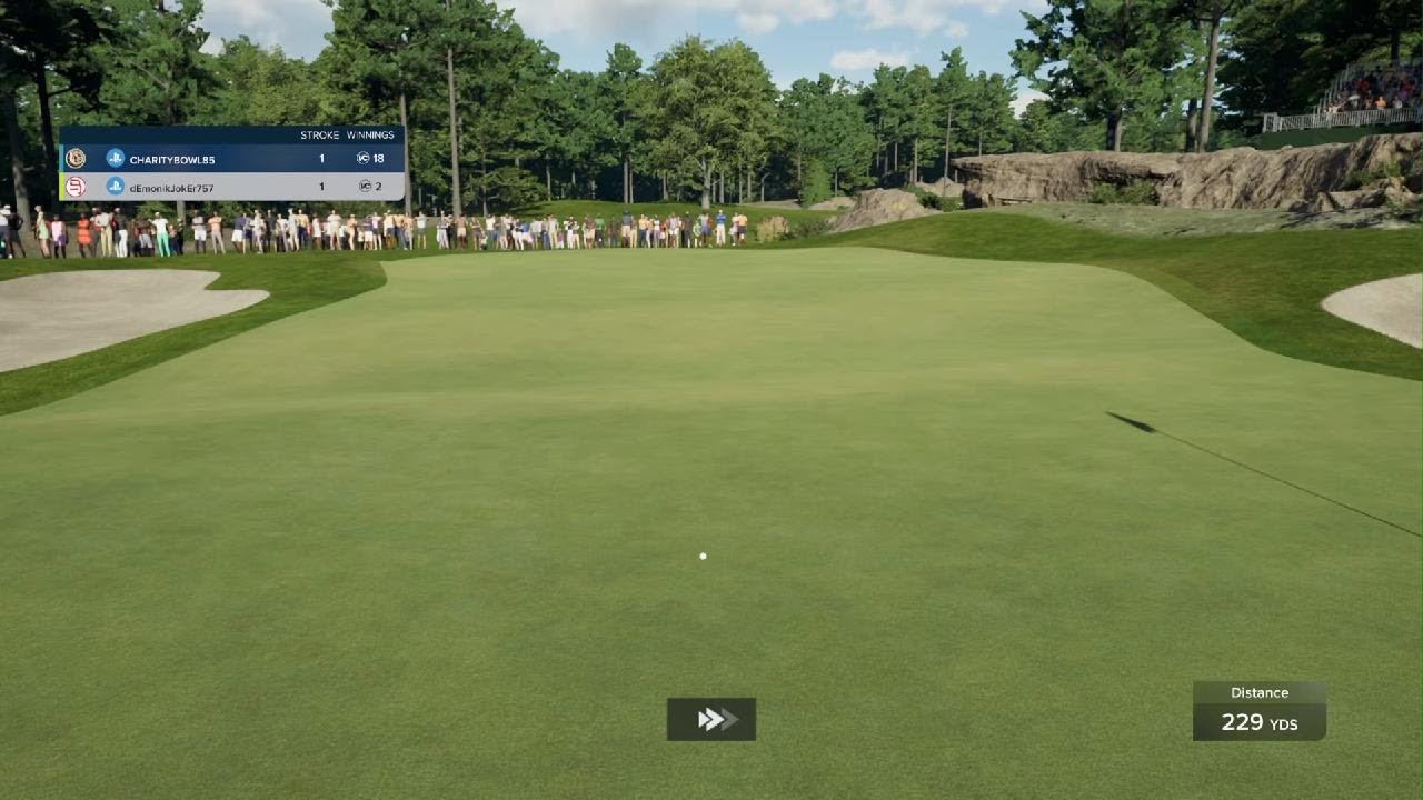 229 yards HOLE IN ONE!!!