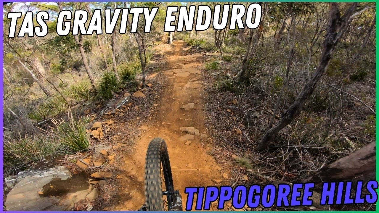Tippogoree Hills Tas Gravity Enduro Race Run - Stage 1 ( Humbugs & Haystacks )