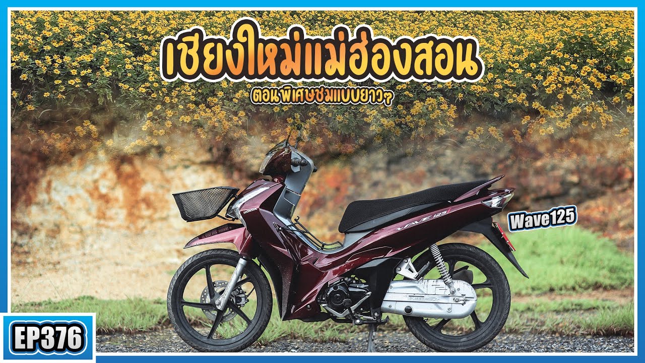 ขี่ Wave125i กรุงเทพ - เชียงใหม่แม่ฮ่องสอน ทริปทุ่งดอกบัวตอง ตอนพิเศษ Full Trip