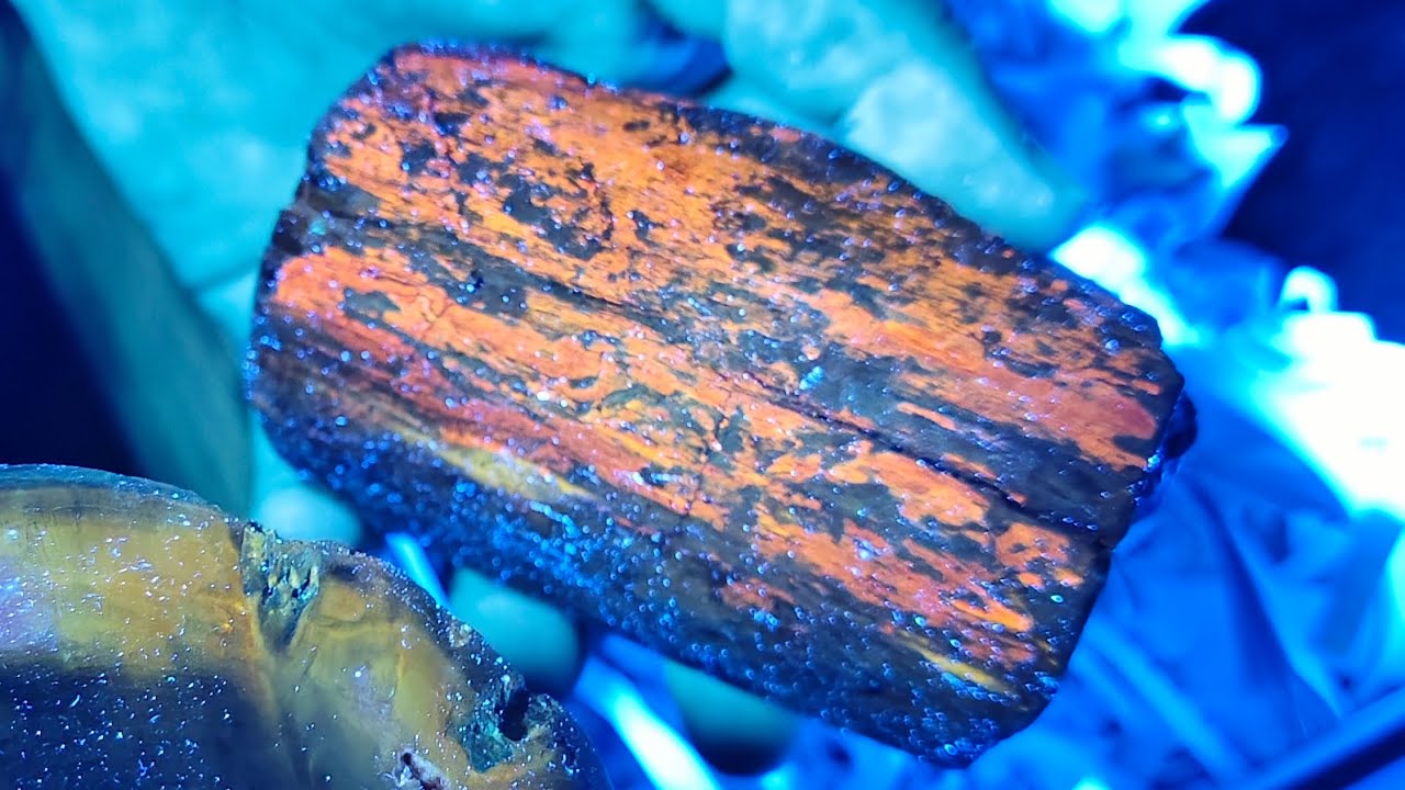 Rock Pun Episode EP.125 - Wholesale African Minerals and Fossils 9/12