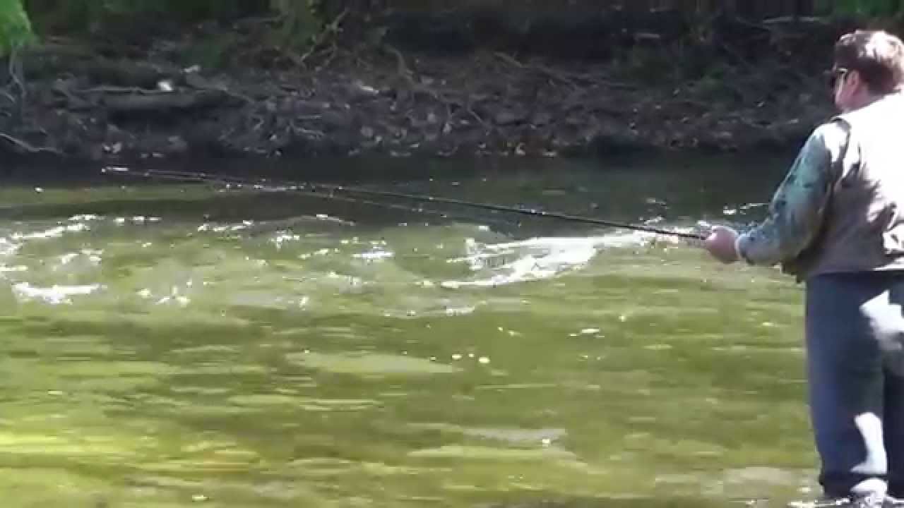 Is This Guy Trying To Snag A King Salmon,Isn't That Illegal??
