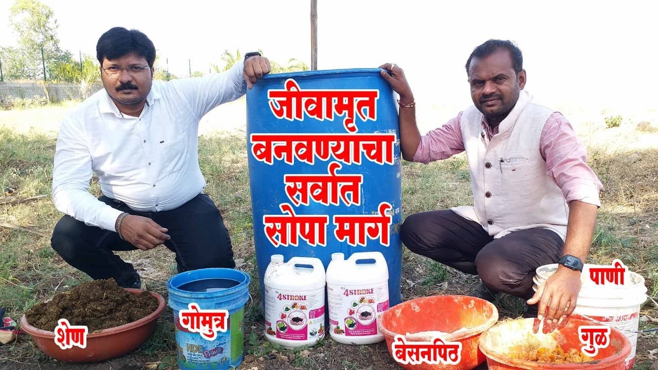 #जीवामृत बनवण्याचा सर्वात सोपा #मार्ग ! |#Jeev_Amrit#Organic_farming#Doctor_Kisan#शेती#jivamrut|