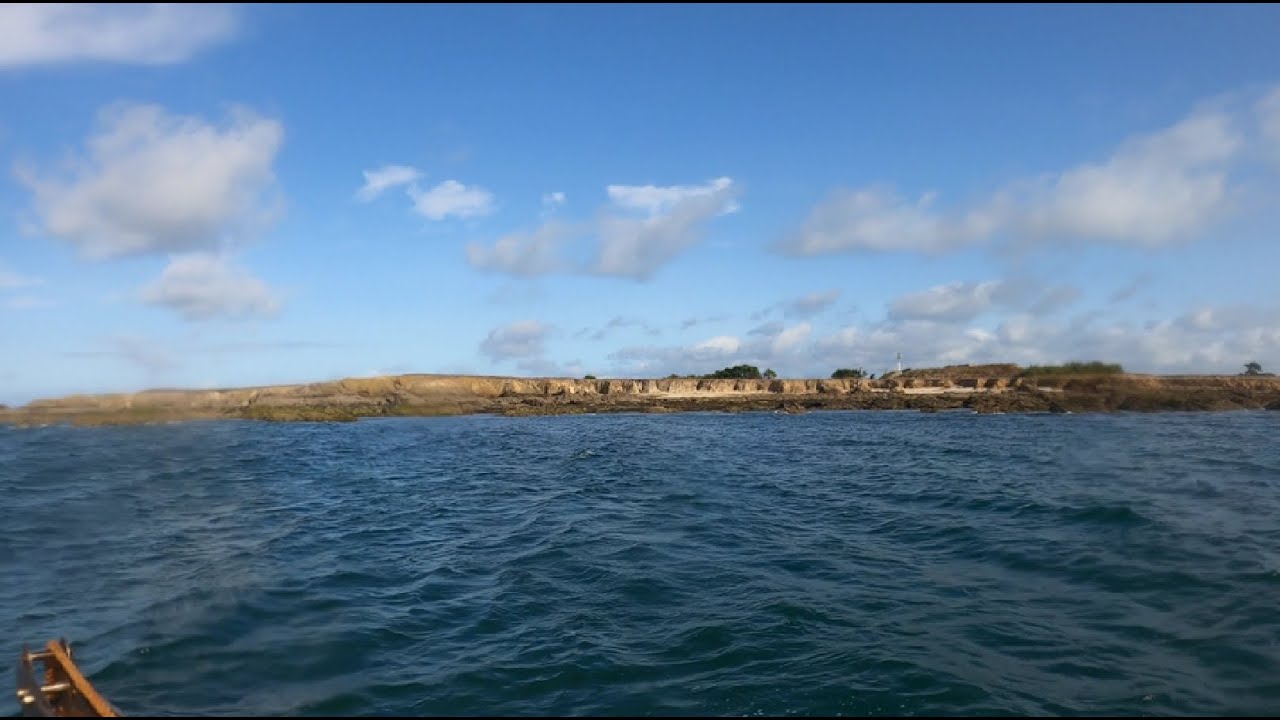 A la recherche des dauphins ! Plongée  l'ïle Dumet juillet 2022
