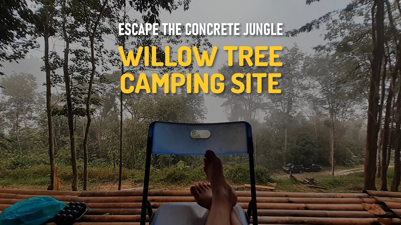 Escape the Concrete Jungle - Discover Willow Tree Camping Site Near Kuala Lumpur