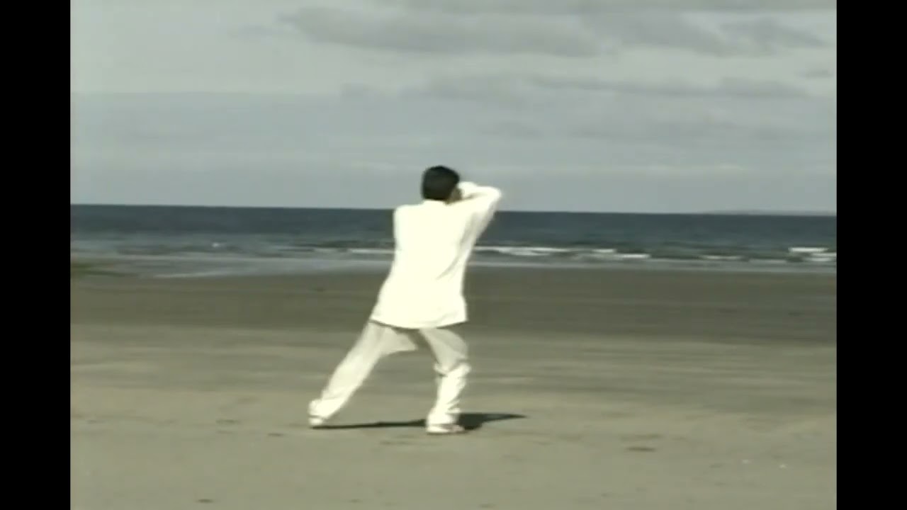 진식태극권 장문인 진소왕 사부님 태극권 노가1로 시연 highstance #태극권 #진식태극권 #taichi #taijiquan #진소왕 #chenxiaowang