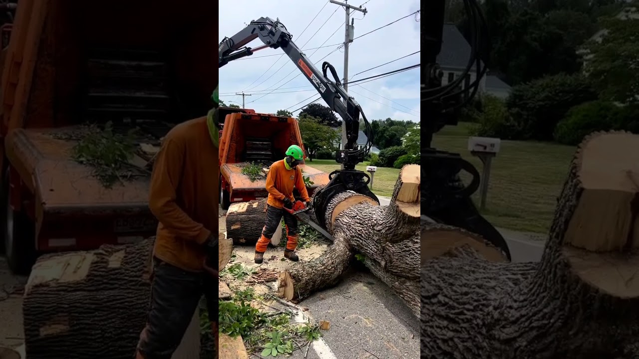 #crane #craneoperator #treeservice
