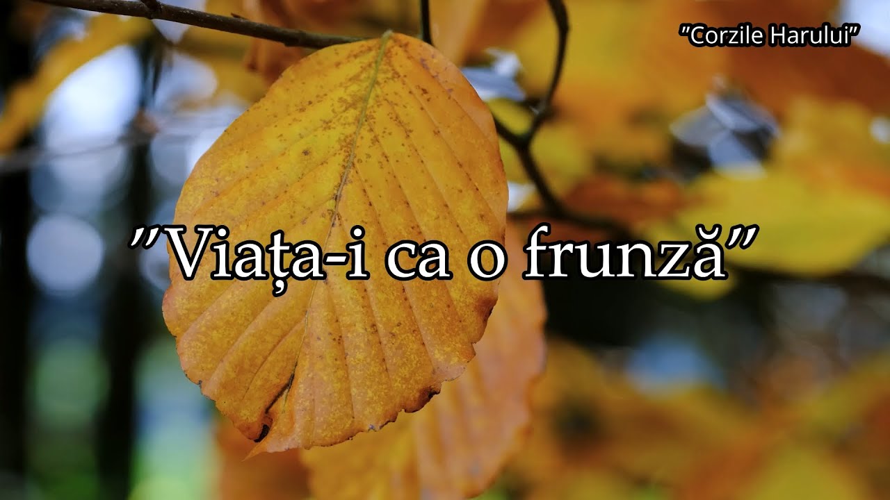 ”Viața-i ca o frunză” cântare creștină nouă 2026