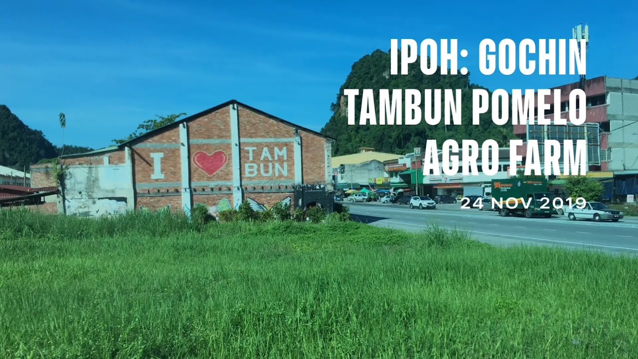 IPOH: GoChin Tambun Pomelo Agro Farm