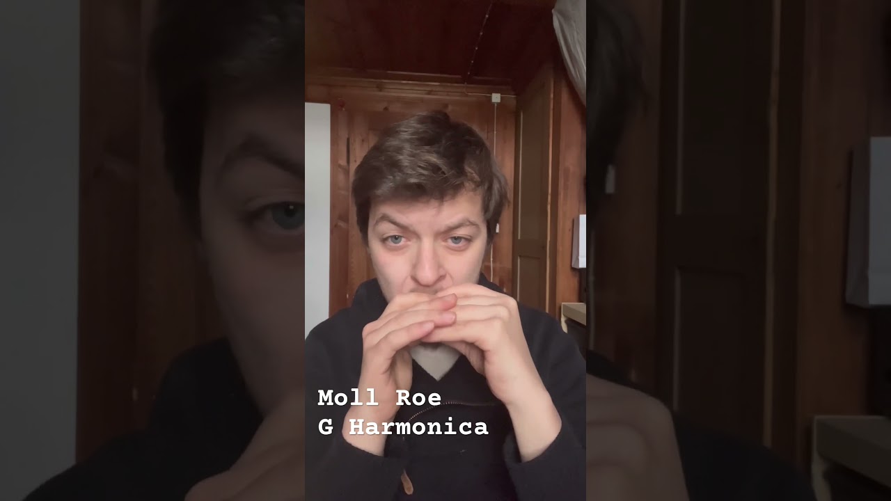 Moll Roe - Irish Harmonica 