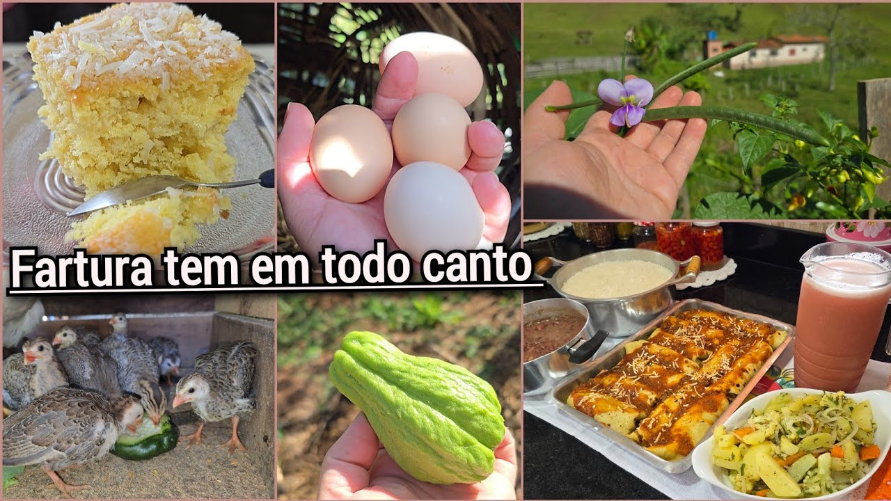 GALINHEIRO LIMPINHO+OVOS/XUXU/FEIJÃO DE CORDA+PAQUECAS EM UM ALMOÇO FRESQUINHO+BOLO DE COCO.