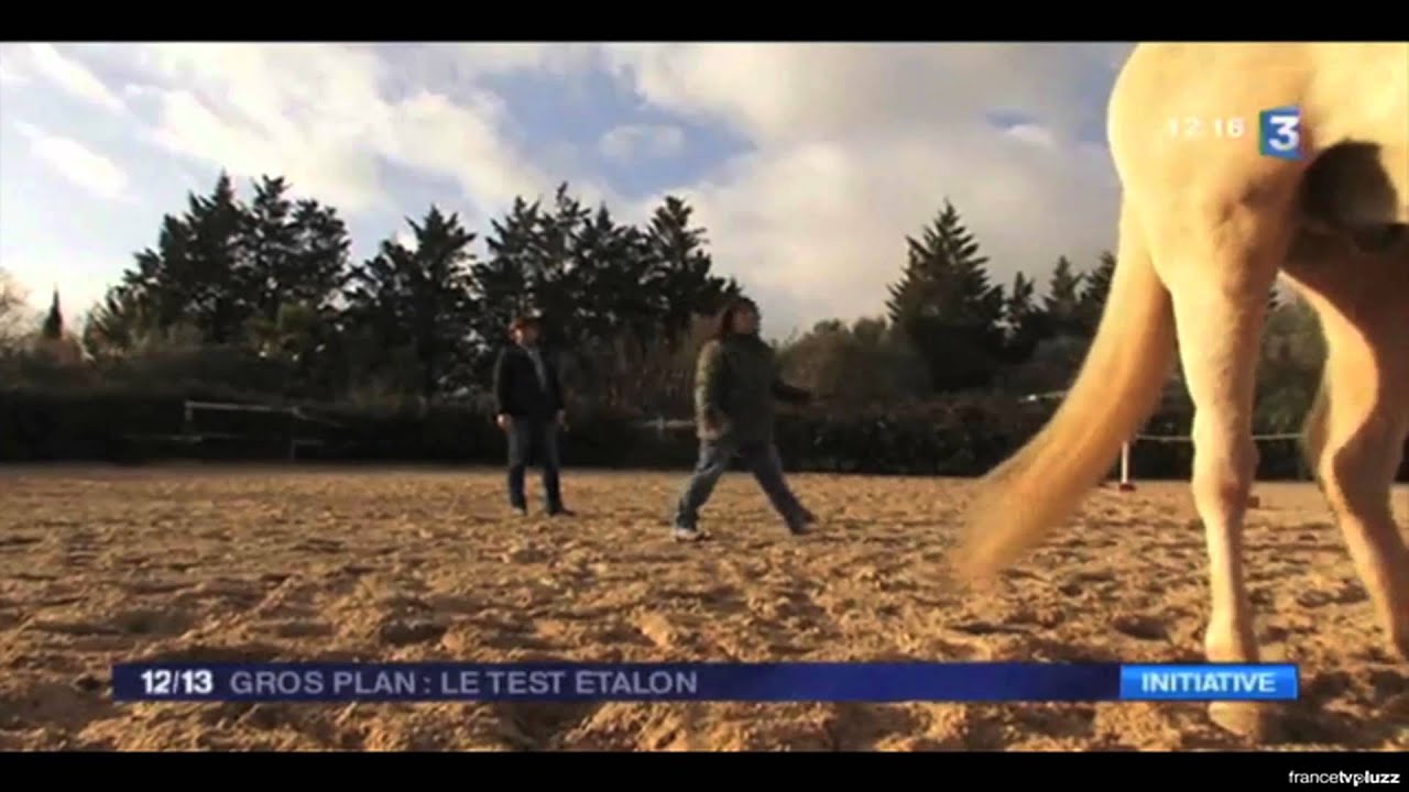 Reportage FR3 sur l&rsquo;Equicoaching | Formation en Communication