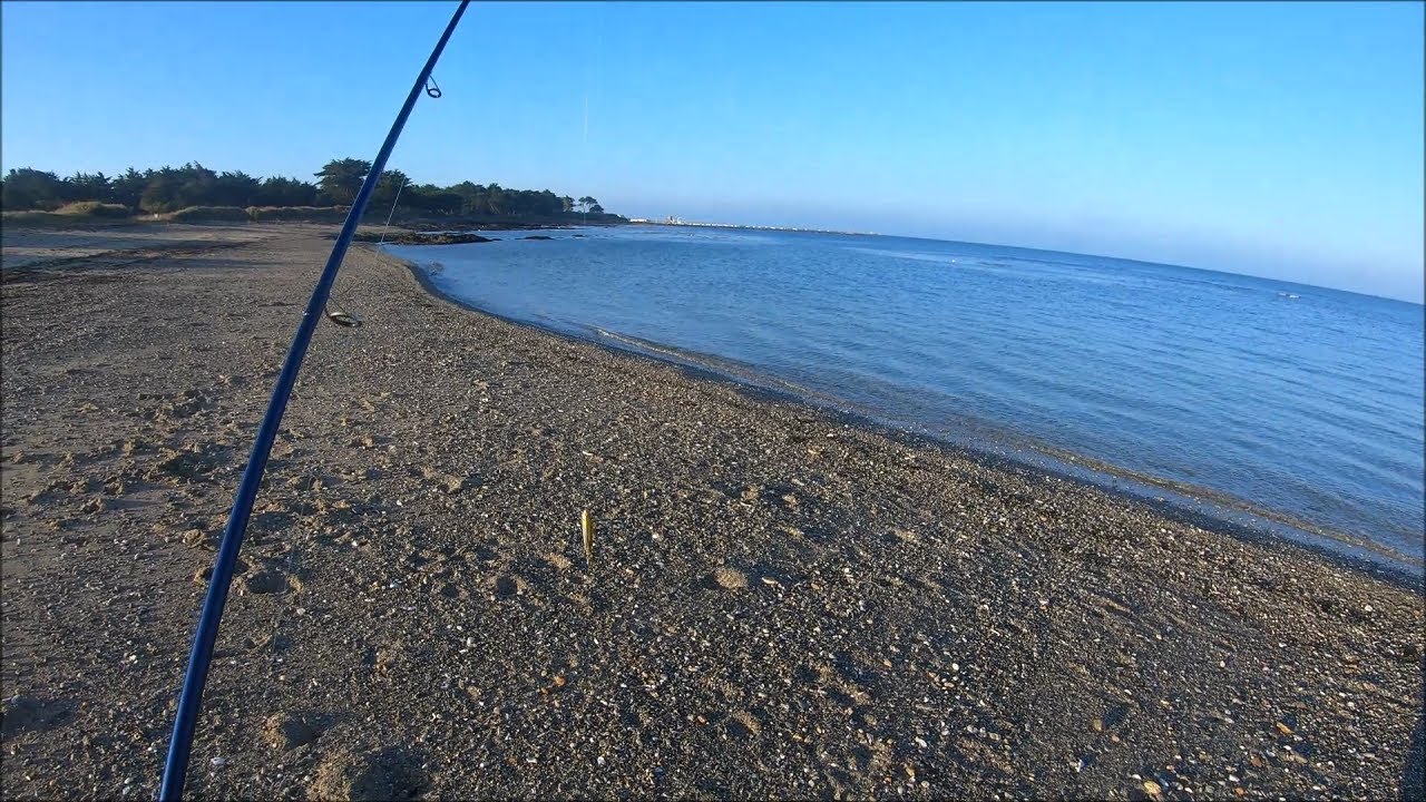 Coup de chance!!! Pêche du bar aux leurres.