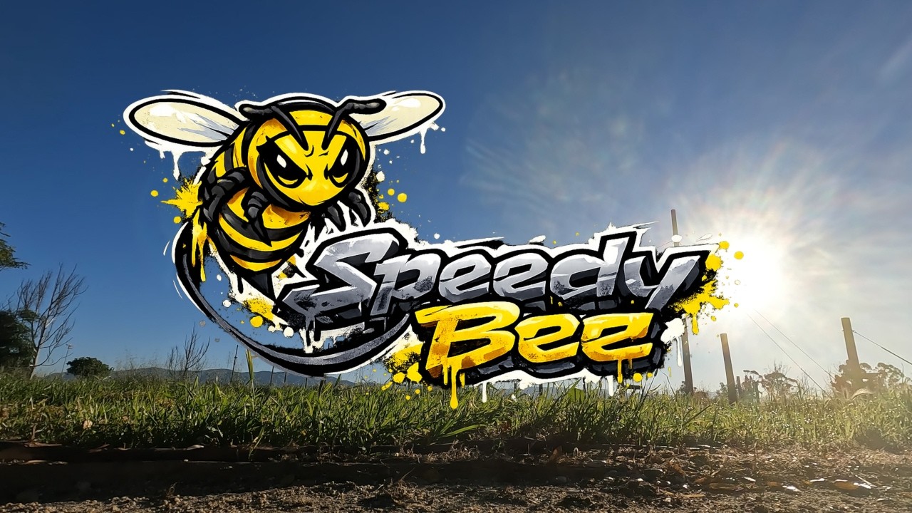 Speedy Bee Mario5 GoPro