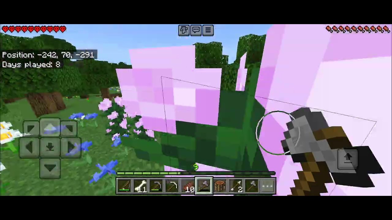 Minecraft World 1 Video 5