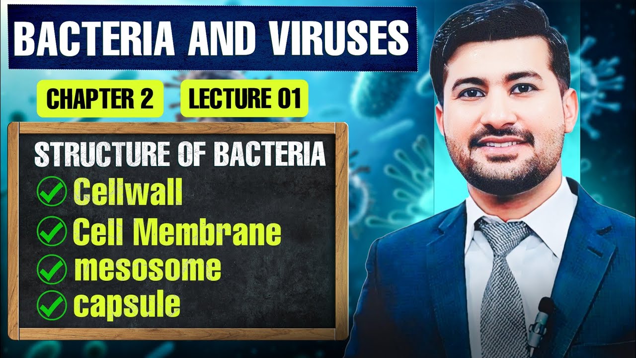 Class 11 Biology Chapter 2: Bacteria and Viruses Explained (New Book 2025) | Irtisam's Biology