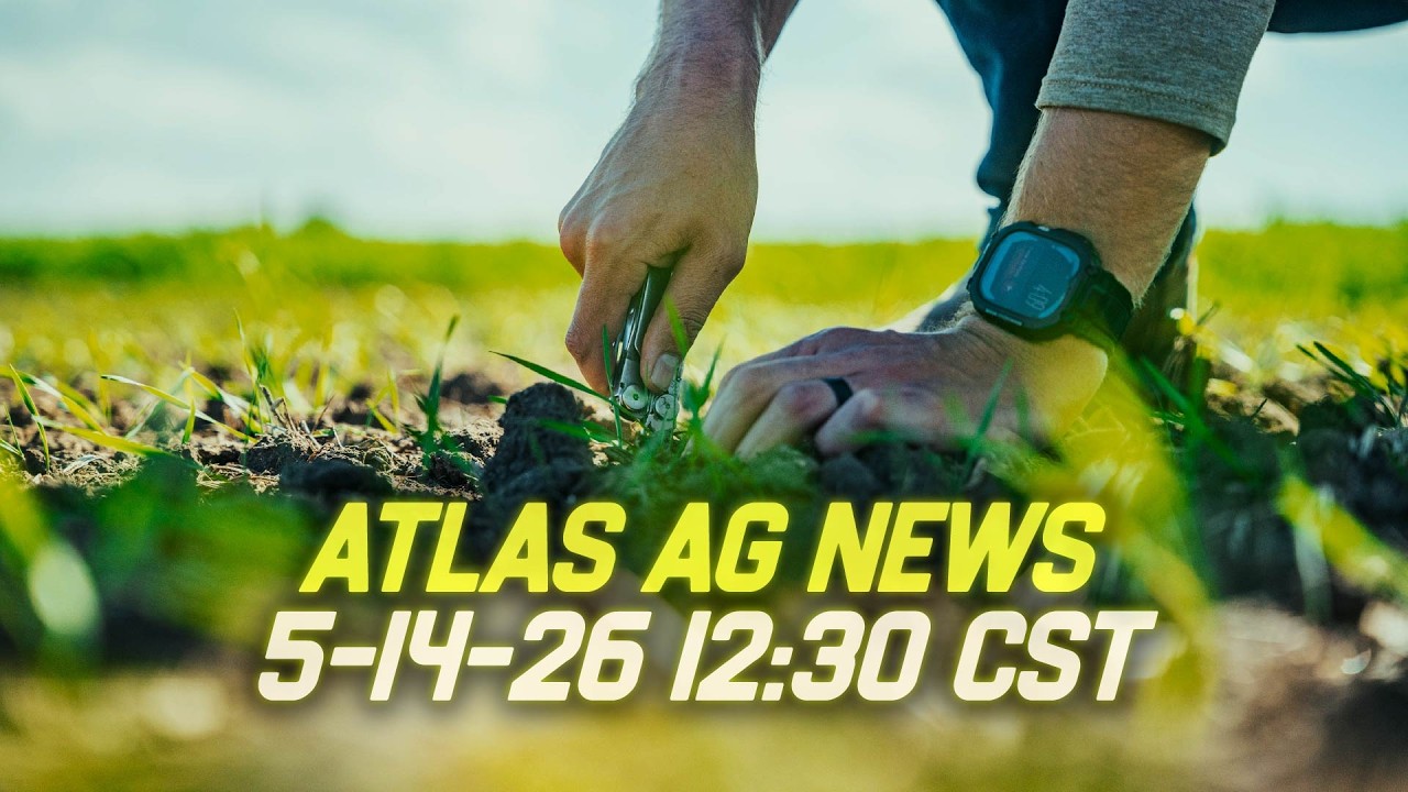 Wheat Crop at Record Poor Conditions, USDA Staff Threatens to Quit and Trump In China!