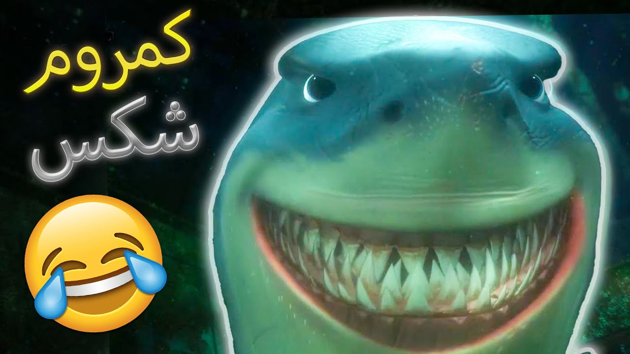 بهترین میم‌های «کمروم شکست» 😂 | آقا کوسه معروف این روزا 🦈