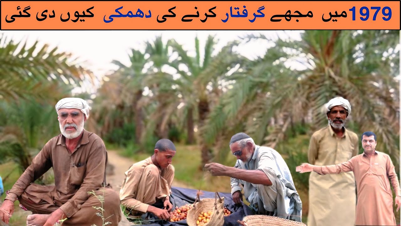 Dates Season in Balochistan 2025 | Makran a Amine | Balochi Traditional 🔥Kech e Dastan