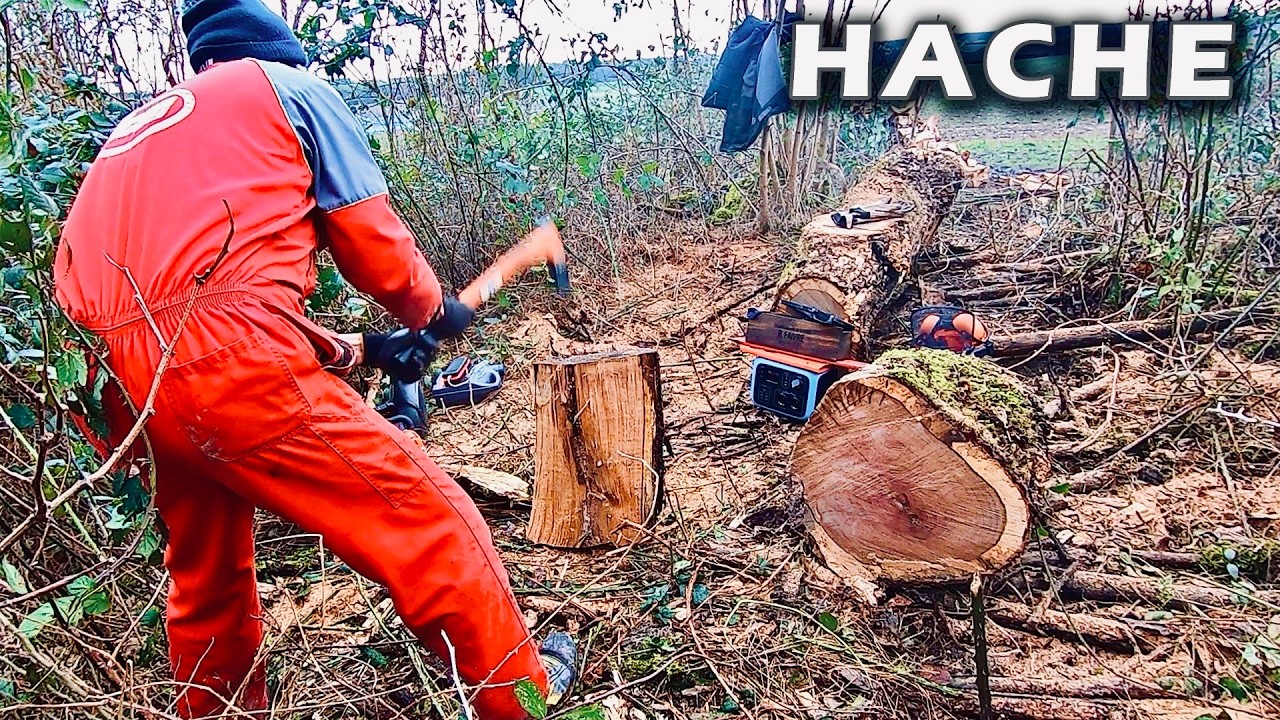 Fendage du bois à la hache, avant que la nature le prenne - 2025
