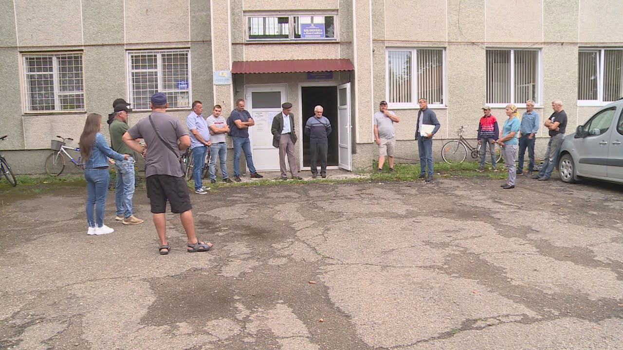 Мешканці Лісної Слобідки обурені вирубкою лісу