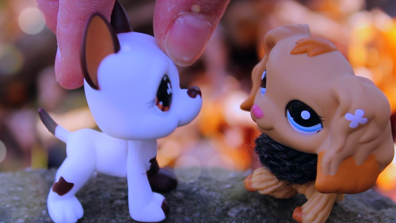 LPS MV: Perfect (Ed Sheeran)