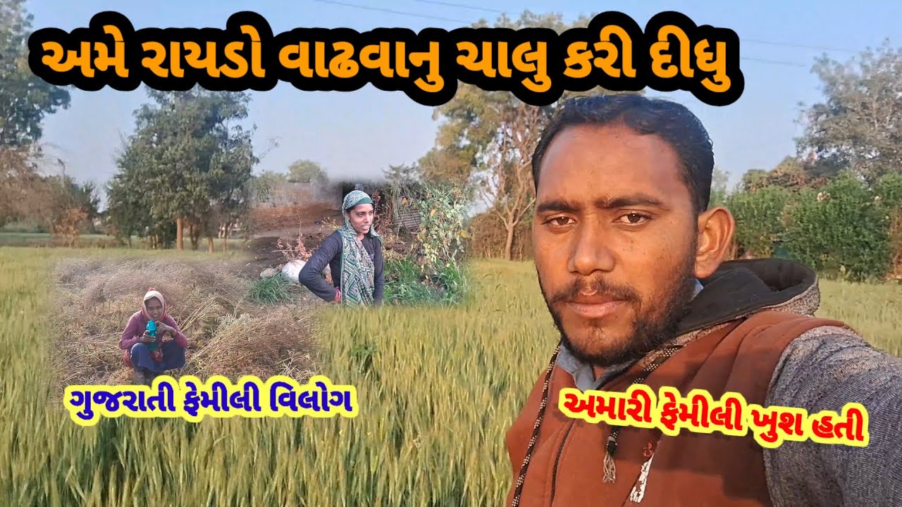 અમે રાયડો વાઢવાનુ ચાલુ કરી દીધુ# GUJARATI familyVlogs #scthakorfamilyvlogs 2222