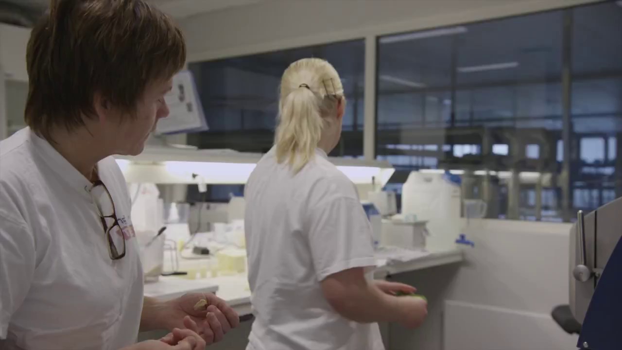 Enova | TINE Meieriet Jæren