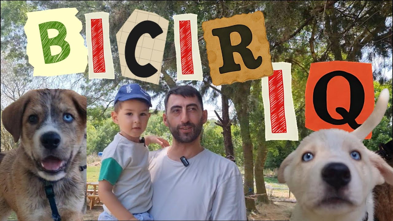Alpaslan Husky Yavrularıyla Tanışıyor! 🐾 Sevimli Patiler Hayvan Dostlarımız.