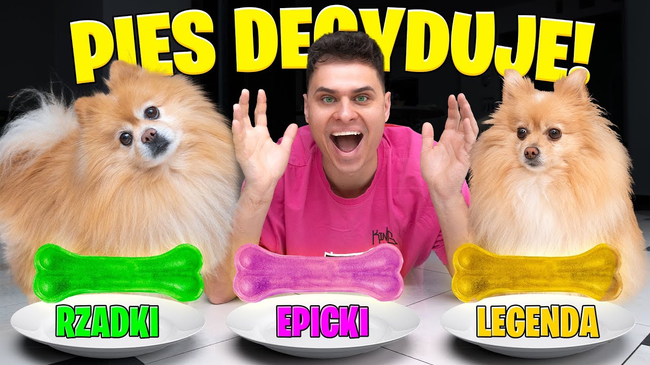 🐶 PIESKI DECYDUJĄ O MOJEJ GRZE W MATCH MASTERS! 🐶