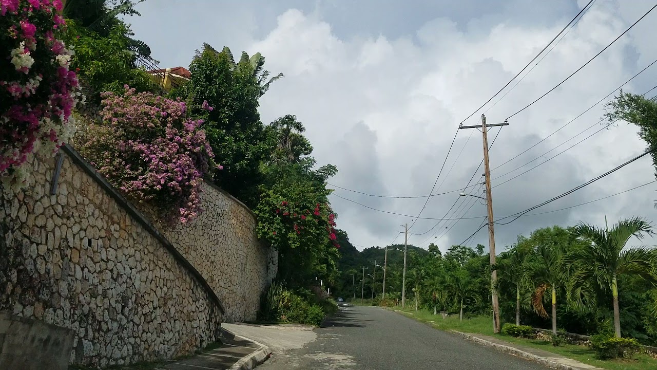 Cherry Hill | Jamaica